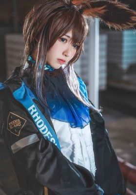 打黑电视剧免费观看